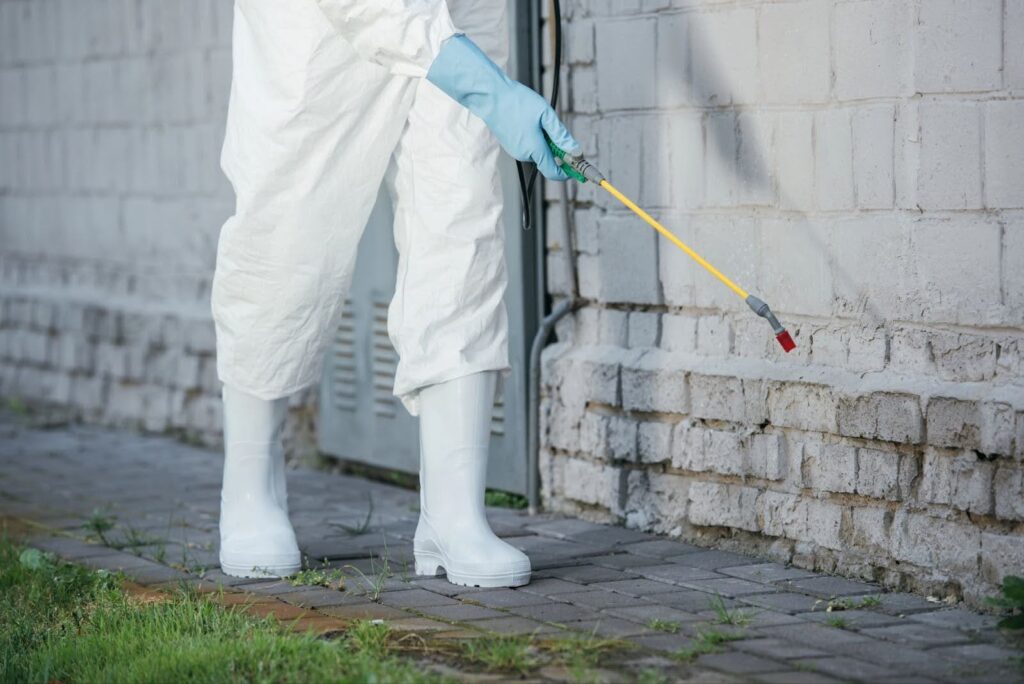 Pest Control in Delaware