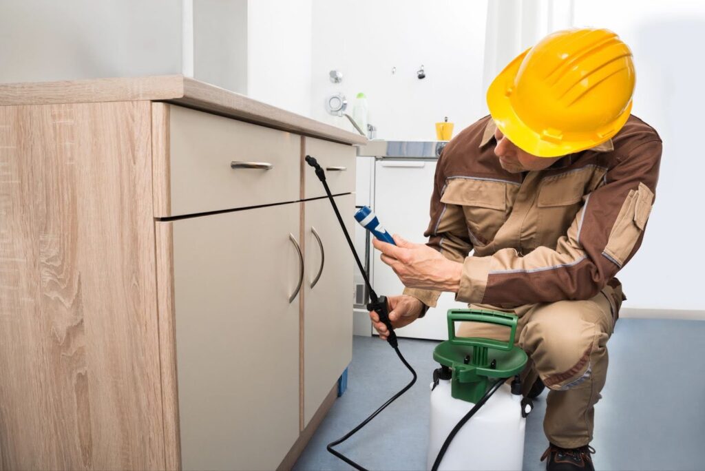 pest control delaware ohio