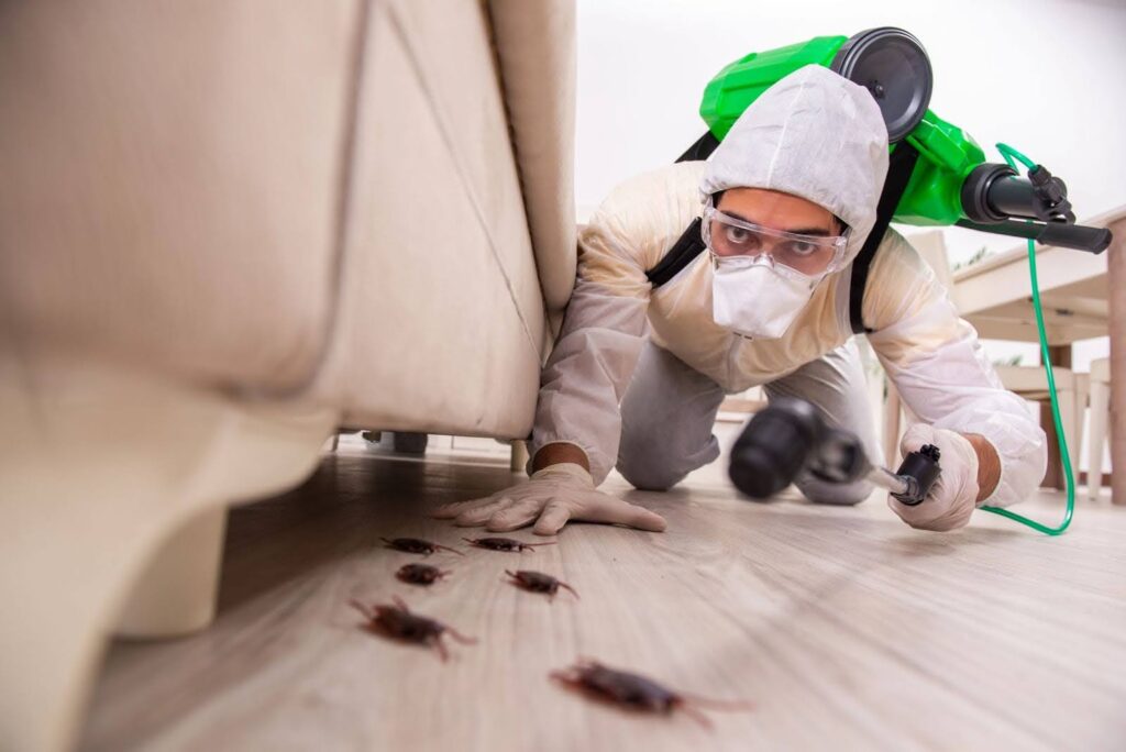 pest control Columbus