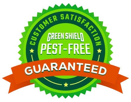 Pest free